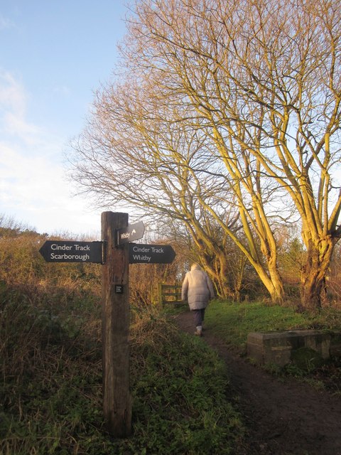 Path junction near Whitby