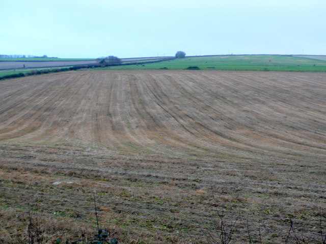 Fields at Bryanston