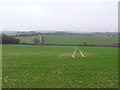 Fields at Thornicombe