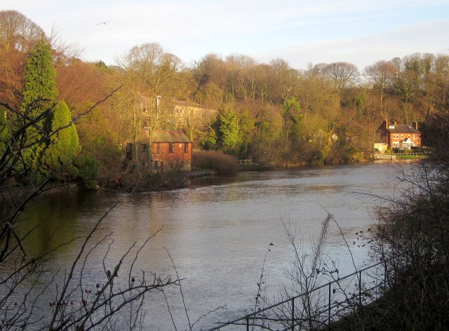 River Esk above Ruswarp © Derek Harper :: Geograph Britain and Ireland