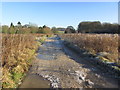 SK1243 : Icy track leading towards Calwich Abbey by Colin Park