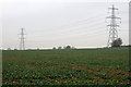 Pylons take power across the farmland