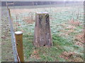 Ordnance Survey Trig Pillar S2086