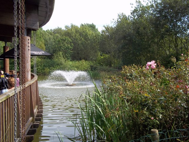 Pond at Stafford services
