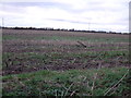 Farmland off Wolviston Mill Lane