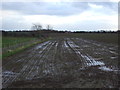 Farmland off Sandy Lane