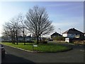 Green space Warren Avenue in winter