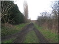 Bridleway to Old Wood