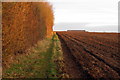 Path to Gawcott Fields Farm which can be seen in the distance