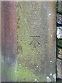 OS benchmark on the south side of the road to Old Gledstone Stables