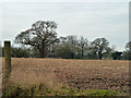 Ploughed field near Sparrow