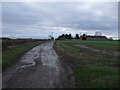 Track to Mordon Moor