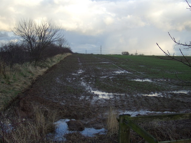 Farmland off Durham Road