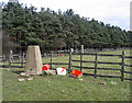 Plantation with trig point