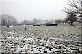 Show jumping practice field