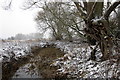 Small brook by the Great Ouse