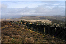 SK0273 : Dry stone wall on Burbage Edge by Trevor Littlewood