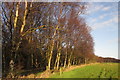 Bridleway near Moorside Farm