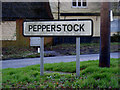 TL0818 : Pepperstock Sign by Geographer