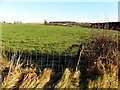 Corrasheskin Townland