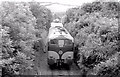 N8384 : Weed spraying train near Nobber by Albert Bridge