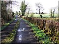 Crockavarred Road, Mullaghbane