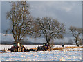 Farm tractors