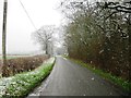 Mangrove Lane in the snow