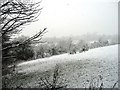 Snowy fields