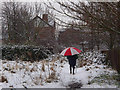 Snowy footpath