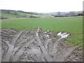 Field entrance, above Old Stowey