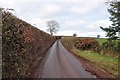 Mid Devon : Countryside Lane