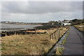 Groynes, Seasalter