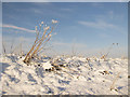 Snowy bank, Outgang Road