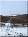 The Hertfordshire Way toward Almshoe Bury