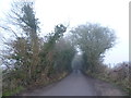 TQ6265 : Shipley Hills Road in winter by Marathon