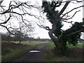 Path to Cannizara Road, Wimbledon