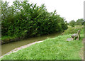 Stratford-upon-Avon Canal south-east of Wilmcote, Warwickshire