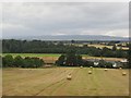 Round bales, Campsie