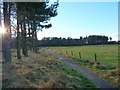 Footpath to Morton Lochs