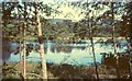 Pond at Westcott, 1966