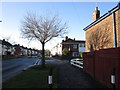 Goddard Avenue off Newland Avenue, Hull