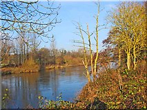 SO7293 : River Severn by Severn Park, Bridgnorth by P L Chadwick
