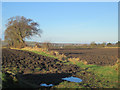 Arable fields off Springhill Lane