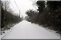 Green Lane, Eaton Bray turned white