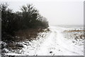 Track along the field edge towards the Sewage works