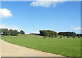 View to Hoober Stand, from the East Front of Wentworth Woodhouse, near Rotherham