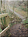 SS9086 : Steps down to the Garw Valley Community Route near Bettws by eswales