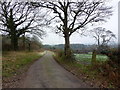 Country lane near Dobs Hill