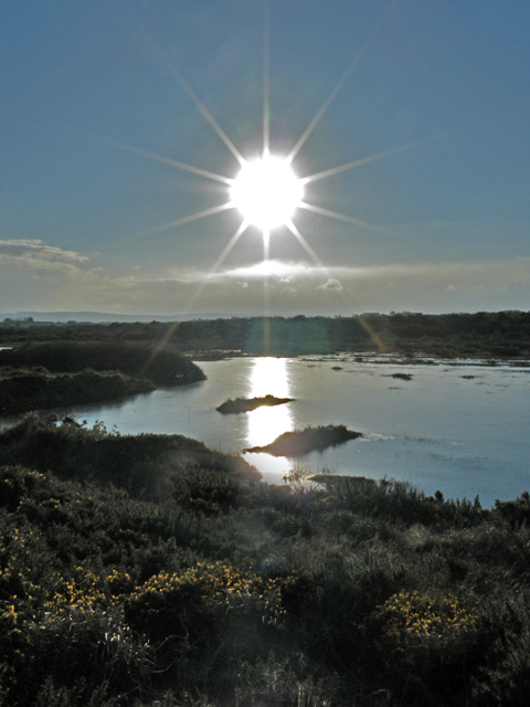 midday-sun-anne-burgess-cc-by-sa-2-0-geograph-britain-and-ireland